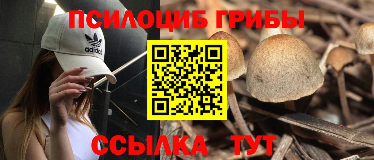 Псилоцибиновые грибы Psilocybe Азнакаево