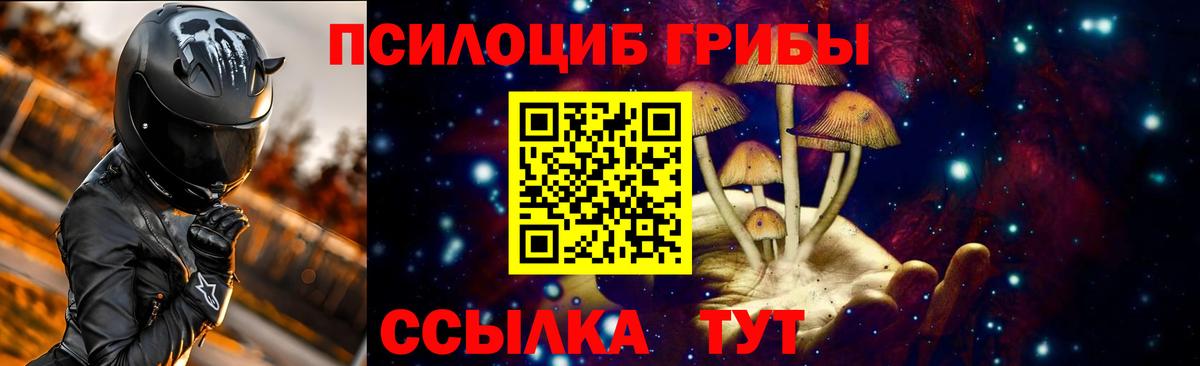 Псилоцибиновые грибы прущие грибы  купить  сайты  Азнакаево  Вход с VPN 